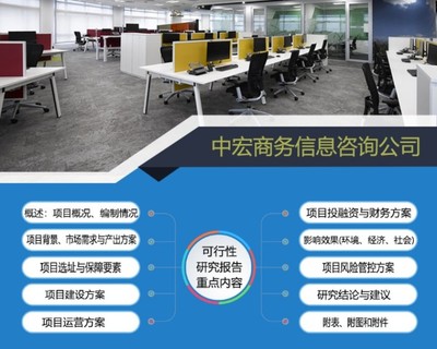 重庆璧山项目可行性研究报告代写与商务信息咨询服务解析