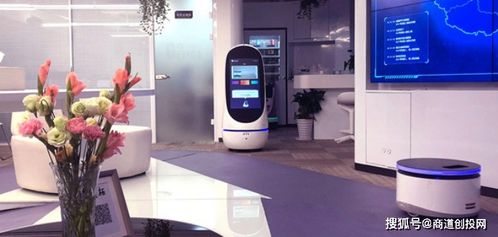 云迹科技完成C轮融资，引领商用服务机器人领域新篇章